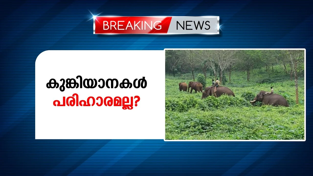 കുങ്കിയാനകളുടെ ദൗത്യം ഒരു മാസം തുടരും