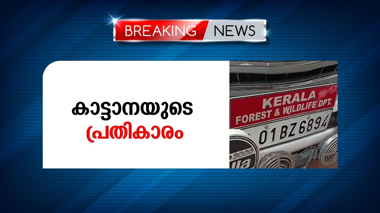 വിശ്രമിക്കുകയായിരുന്ന വനപാലക സംഘത്തെ പിറകിലൂടെ എത്തിയാണ് ഒറ്റയാന്‍ ആക്രമിച്ചത്