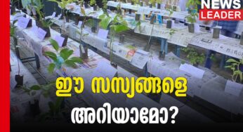 125 ഓളം സസ്യങ്ങളെ പരിച്ചയപ്പെടുത്തി ഒരു പ്രദര്‍ശനം