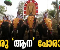 Finally got rid of that knot.- Newsleader