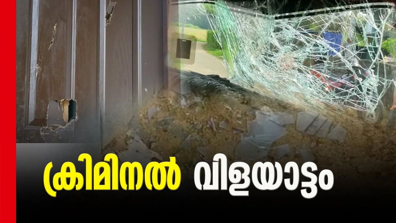 ഗുണ്ടാ ആക്രമണ കേസിലെ പ്രതികള്‍ പിടിയിലായി