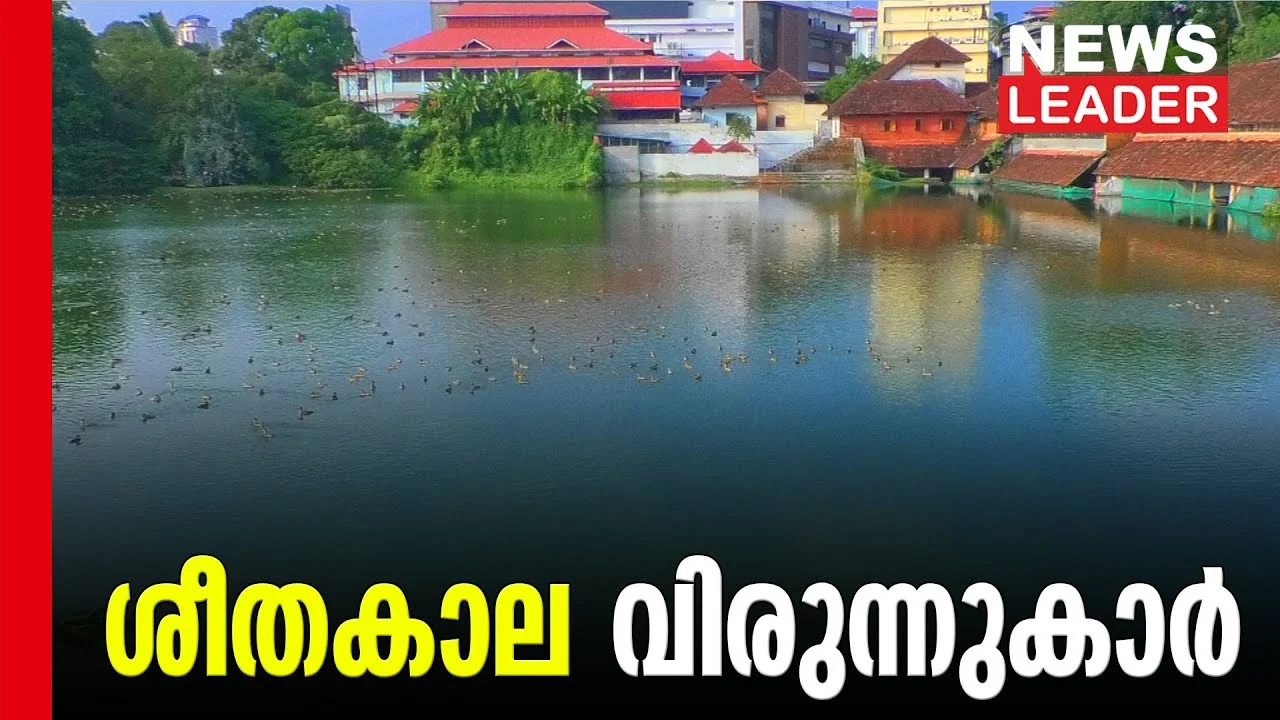 കിലോമീറ്ററുകള്‍ താണ്ടി ചൂളന്‍ എരണ്ടകള്‍