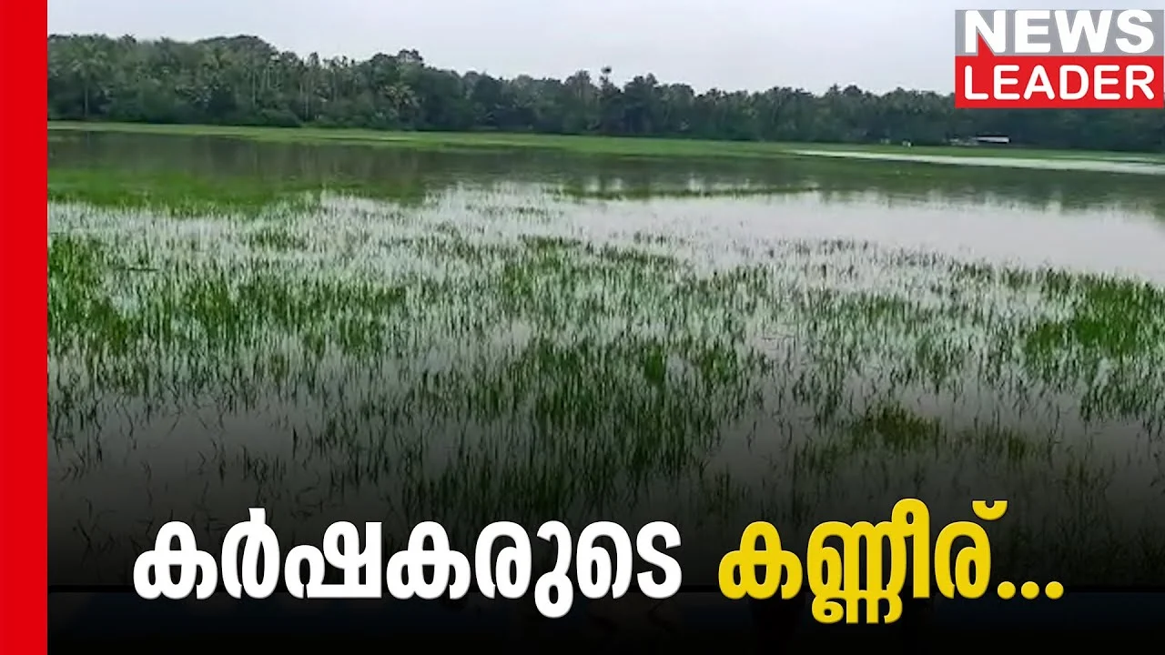 കാലംതെറ്റിയ മഴയില്‍ നെല്‍കര്‍ഷകര്‍ കണ്ണീര്‍കയത്തില്‍