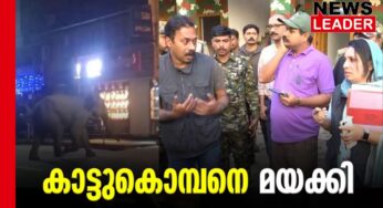 പിഎം 2 കാട്ടാനയെ മയക്കുവെടി വച്ചു