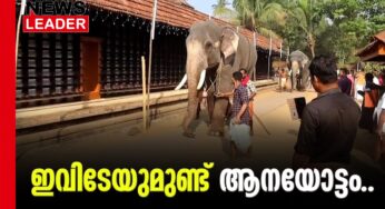 തിരുവഞ്ചിക്കുളത്തെ ആനയോട്ടം