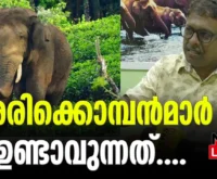 #arikkomban #drGiridas #newsleader #wildelephants