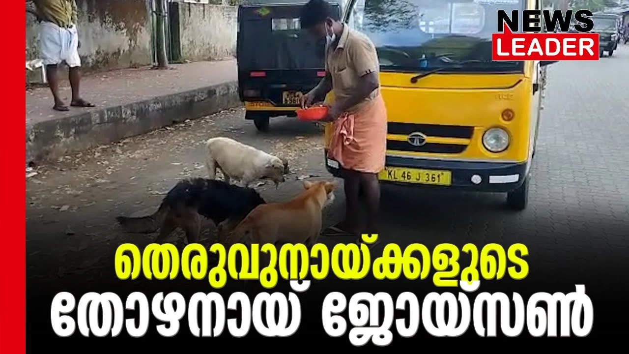 #straydogs #onlinenews #newsleader #malayalamnews