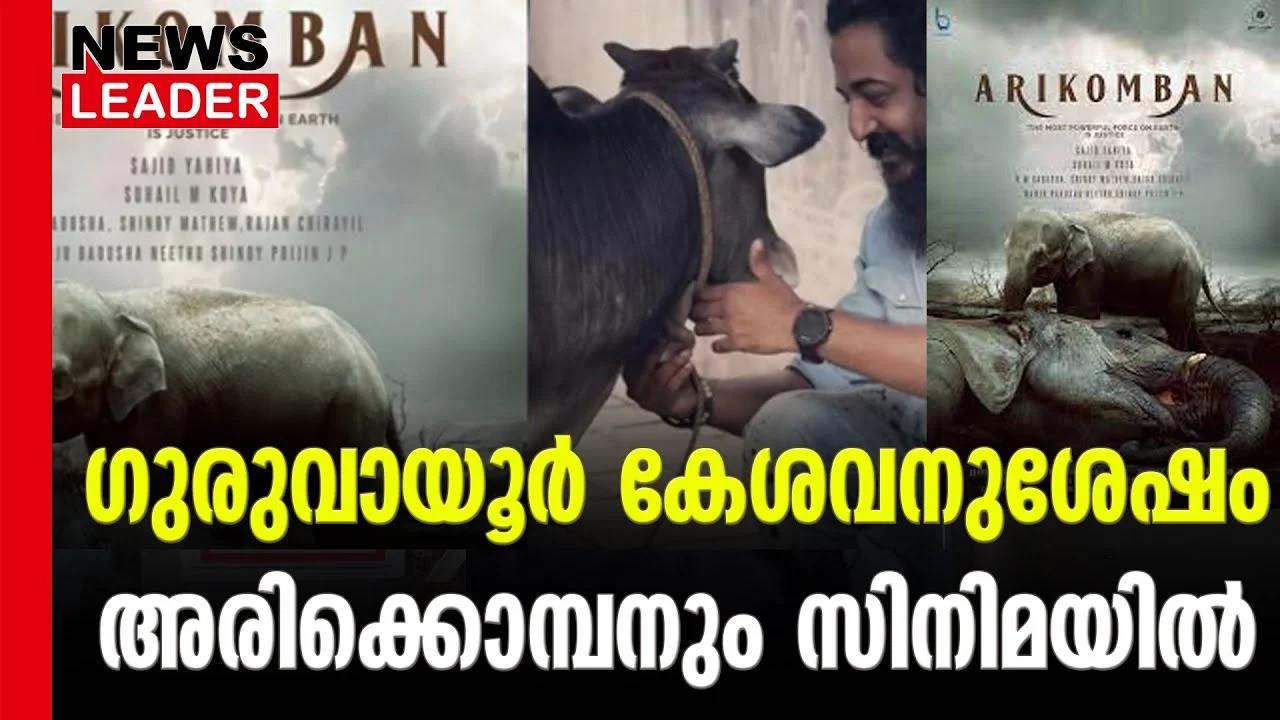 #arikomban #malayalamcinema #newsleader #elephantmovie