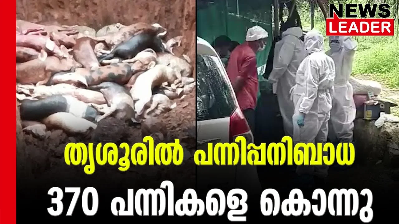 #swineflu #kodasserypanchayat #newsleader #malayalamnews