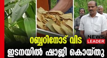 ഇടനകൃഷിയില്‍ ലാഭക്കൊയ്ത്ത്