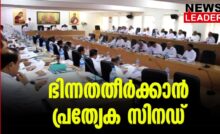 #synod #onlinenews #ernamkulamangamalydiocese #siromalabarchurch