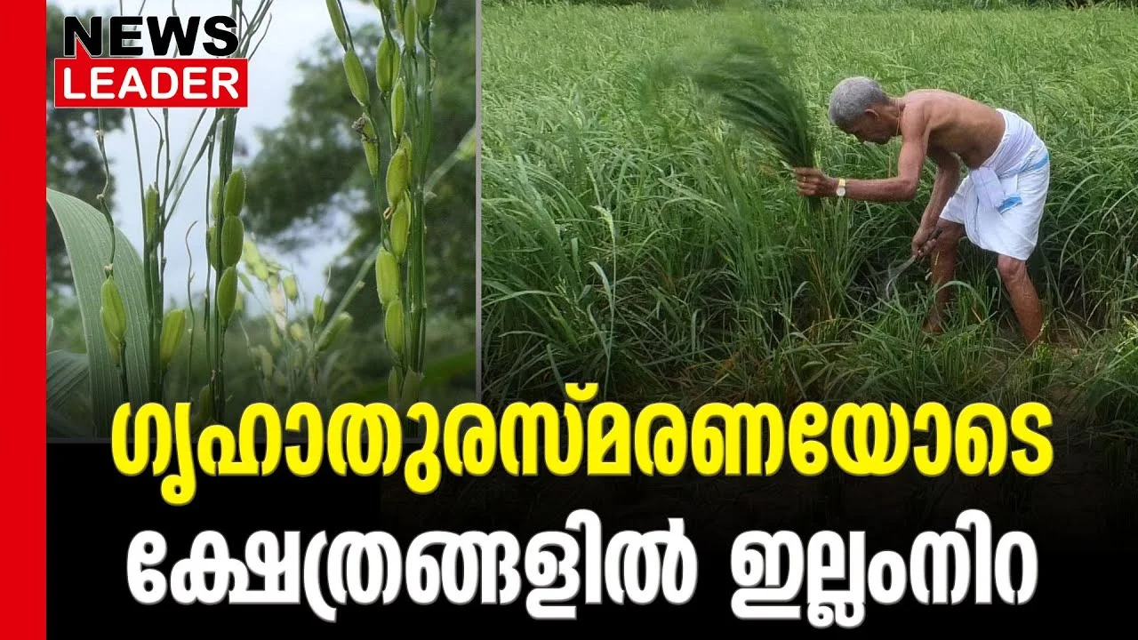 #illamnira #paramekkavu #newsleader #karkkidakam