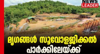 രണ്ടുമാസത്തിനുളളില്‍ മൃഗങ്ങളെ മാറ്റും