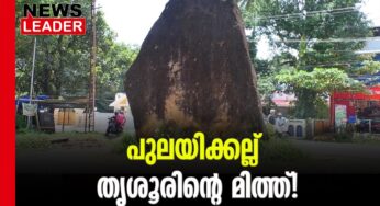 കല്ല് ഇപ്പോഴും വളരുന്നു!