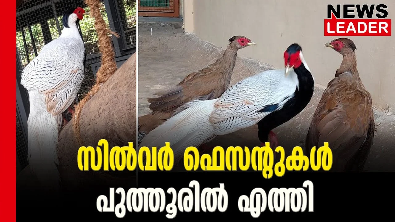 #thrissurzoologicalpark #thrissurzoo #newsleader #puthoorzoologicalpark