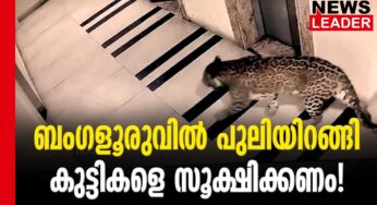 രണ്ട് കെണികള്‍ സ്ഥാപിച്ചു