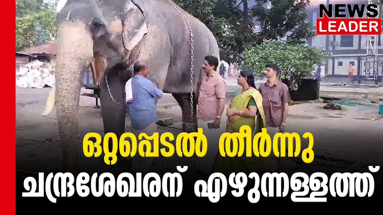 #guruvayoortemple #elephantsantuary #newsleader #malayalamnews #guruvayurdevaswom