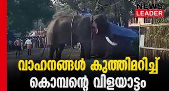 തൃപ്രയാറില്‍ ആന ഇടഞ്ഞോടി