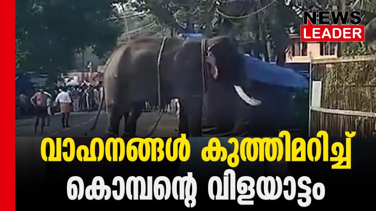#thrissur #onlinenews #newsleader #malayalamnews #triprayar #elephant#thrissur #onlinenews #newsleader #malayalamnews #triprayar #elephant