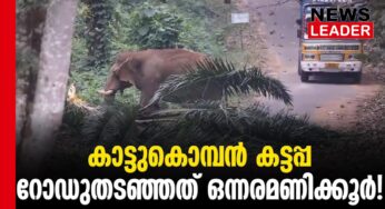 ഗതാഗതം സ്തംഭിപ്പിച്ച് കൊമ്പനാന
