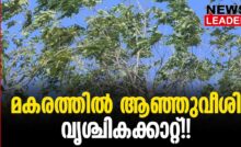 #thrissur #vrischikam #newsleader #malayalamnews #siberianhigh #vrischikakattu #palakkad #wind #windblows