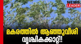 കൃഷിനാശ ഭീഷണി 