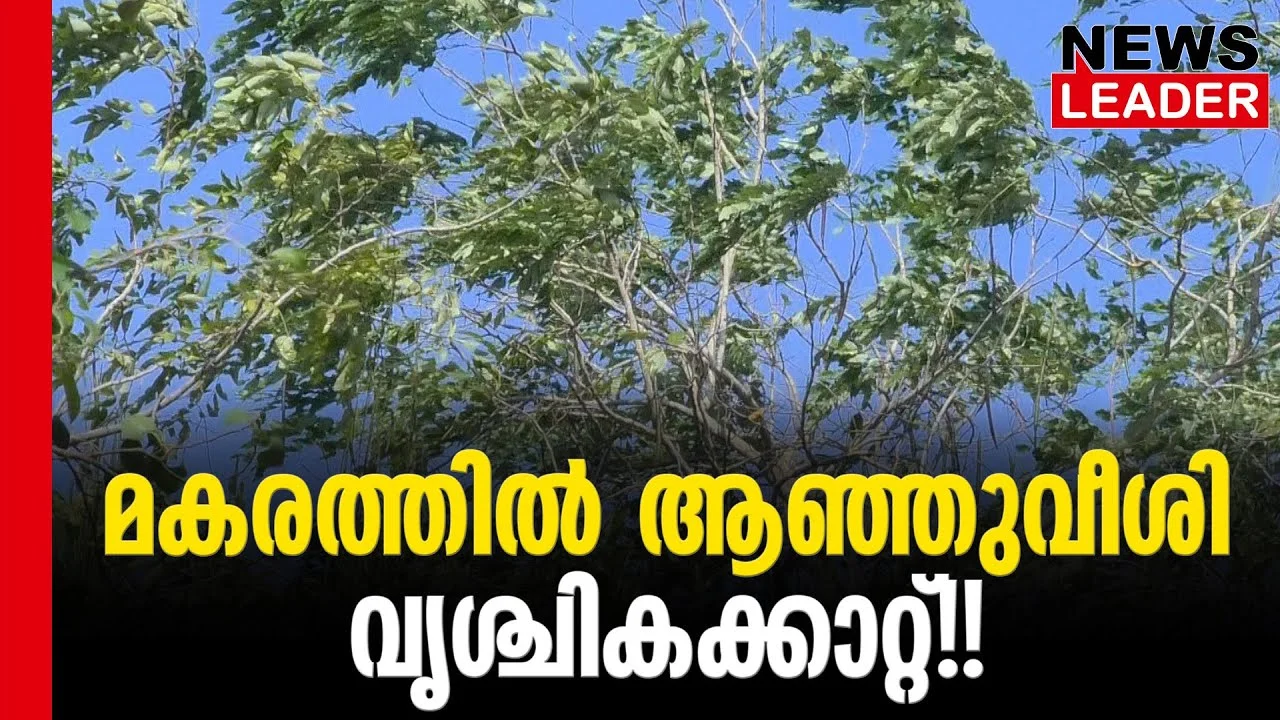 #thrissur #vrischikam #newsleader #malayalamnews #siberianhigh #vrischikakattu #palakkad #wind #windblows