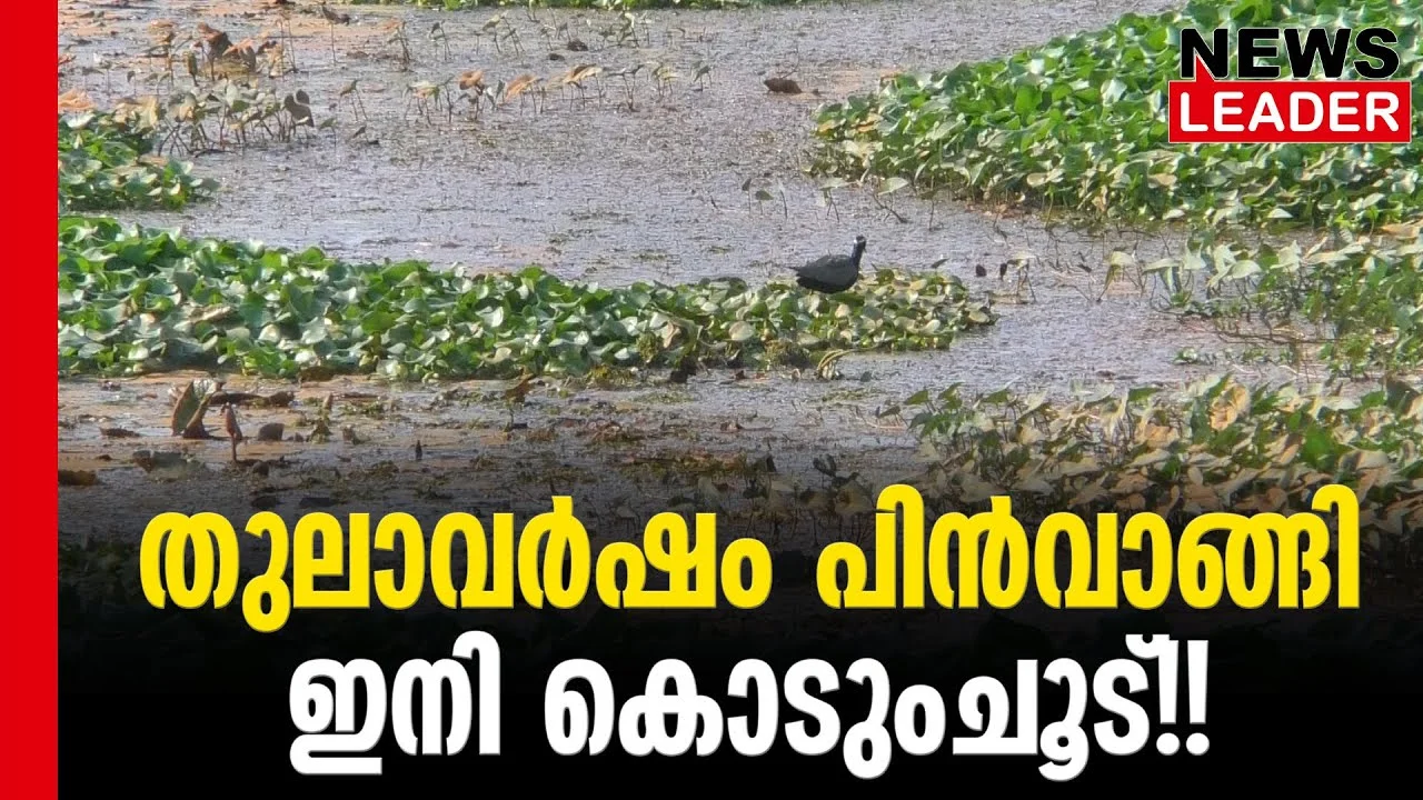 #thrissur #thulam #newsleader #thulavarsham #northeastmonsoon #raininkerala
