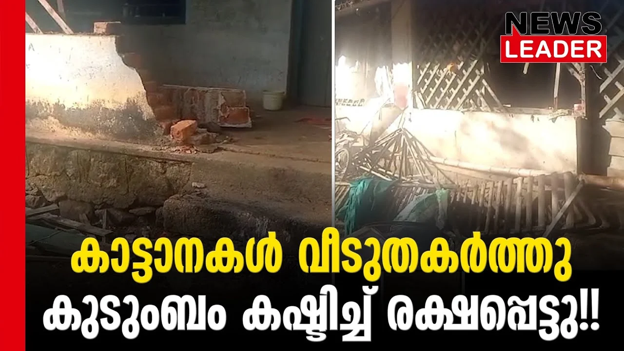 #thrissur #wildelephantattack #newsleader #malayalamnews #athirappillywaterfalls #malakkapara #wildelephants