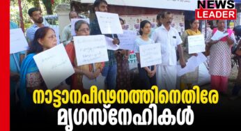 ആനകള്‍ വന്യജീവികള്‍ 