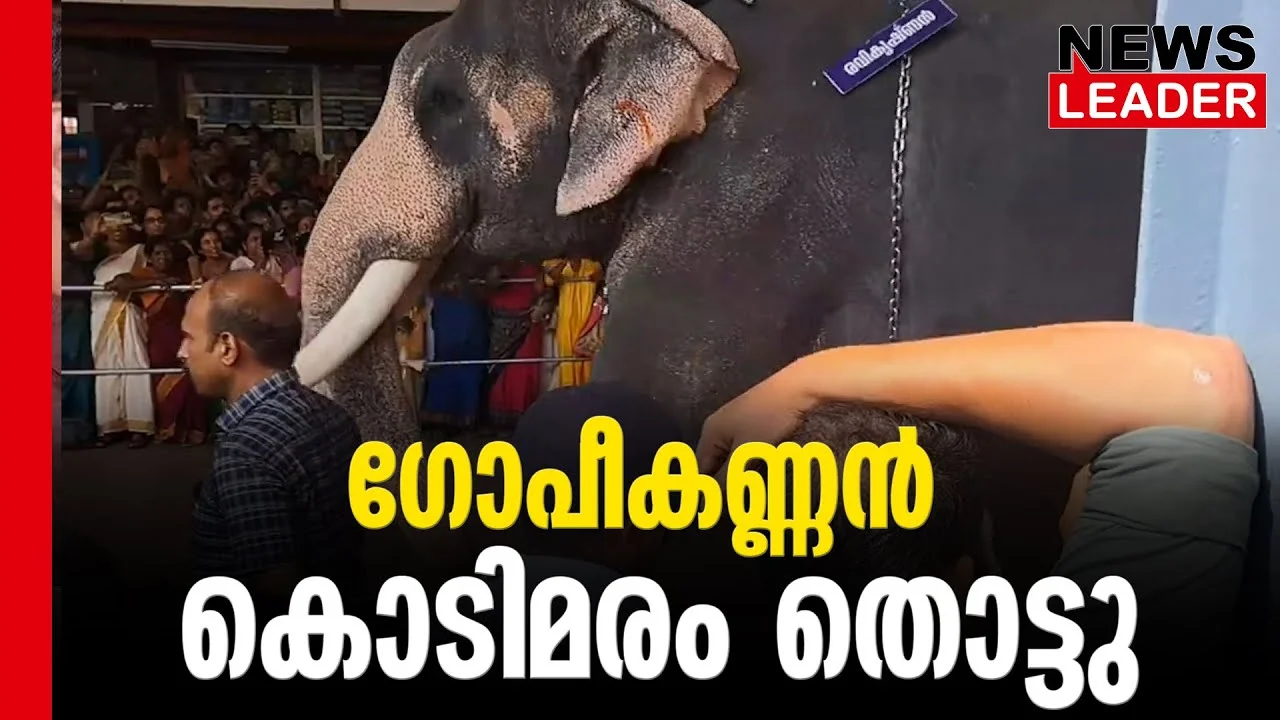 #thrissur #guruvayoor #newsleader #anayottam2024 #guruvayurdevaswom #guruvayuranayottam #guruvayoortemple #anakkotta #gopikannan #guruvayoorulsavam