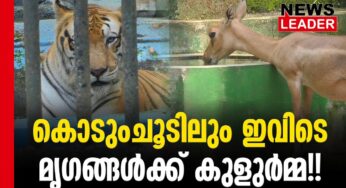 മനസ്സു കുളുര്‍പ്പിക്കുന്ന കാഴ്ച