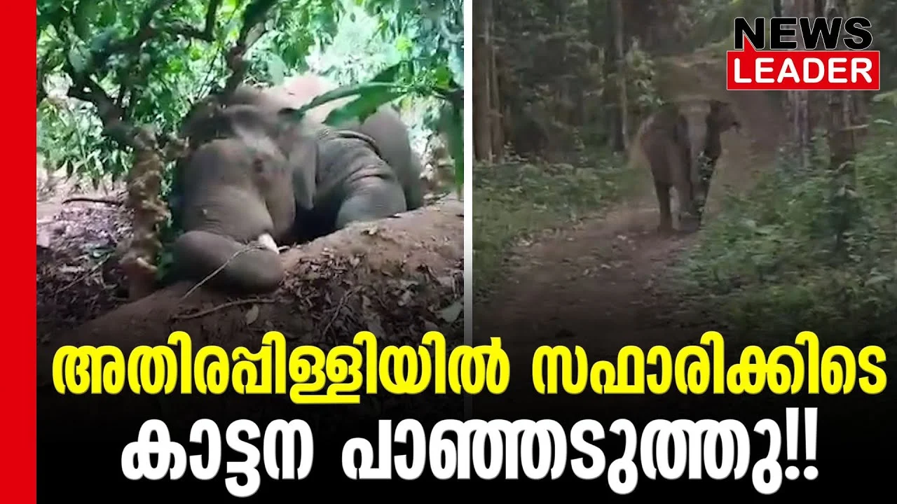 #thrissur #onlinenews #newsleader #malayalamnews #wildelephant #keralaforestdepartment #athirappilly #athirappillywaterfalls #keralaforest #keralaelephant