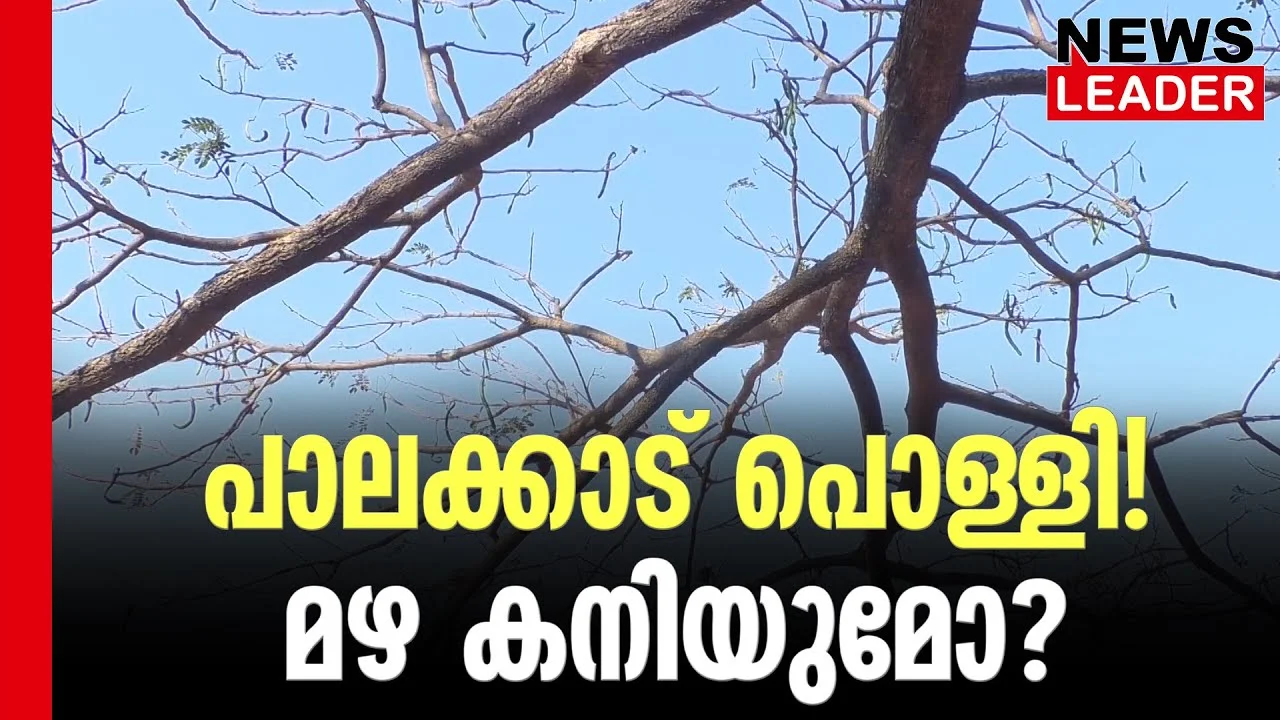#thrissur #onlinenews #newsleader #malayalamnews #palakkad #hotclimate #keralaclimate