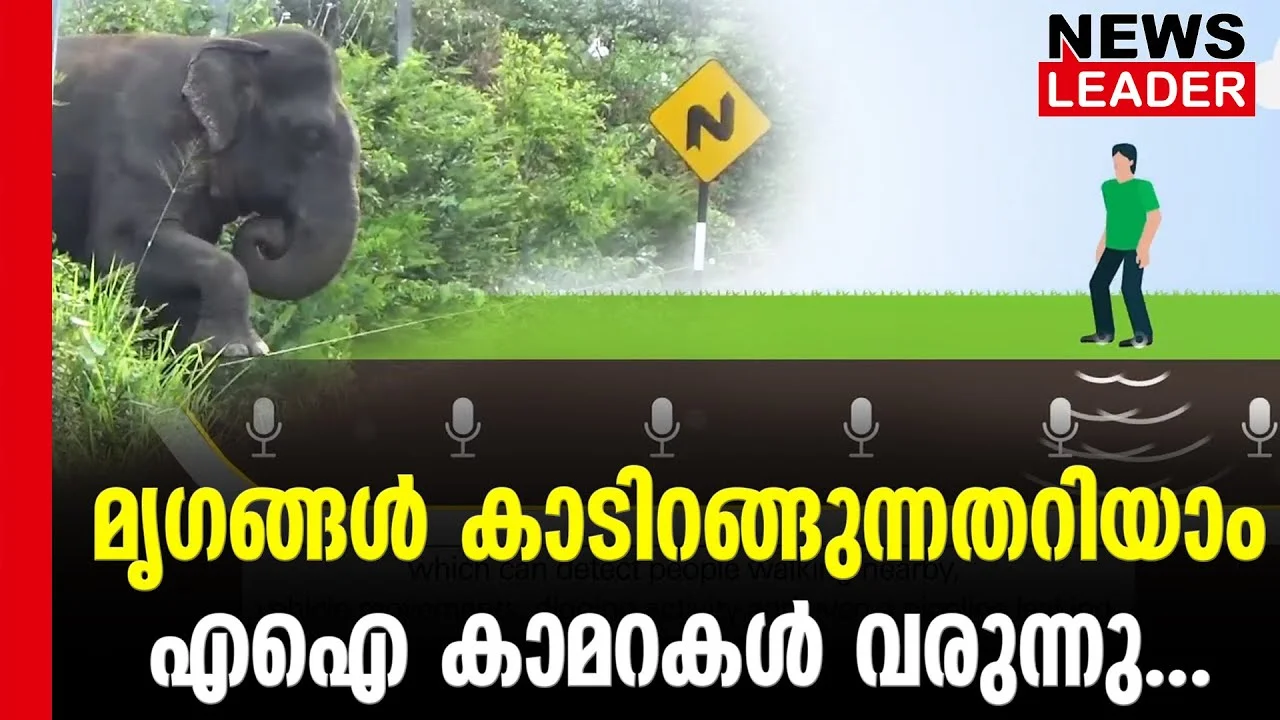 #thrissur #onlinenews #newsleader #aicamerakerala #wildelephants #palakkad #keralaforestdepartment
