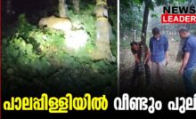 #thrissur #onlinenews #newsleader #malayalamnews #varandarappilly #palappilly #leopard
