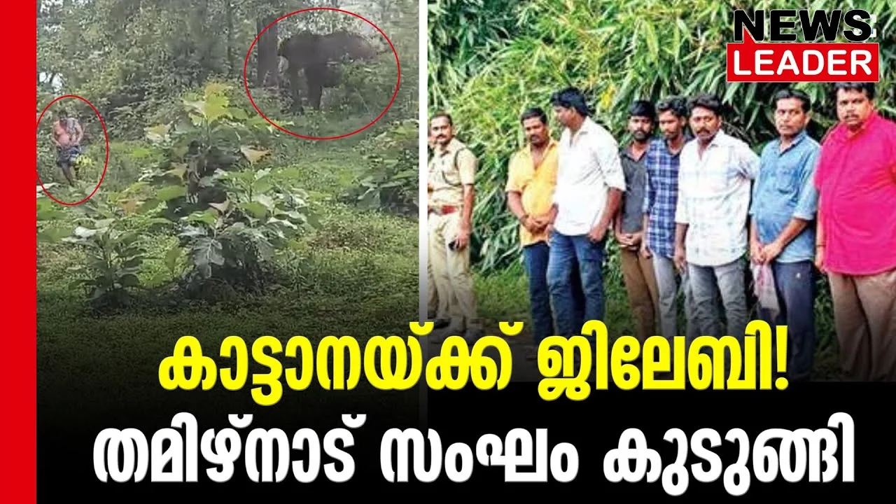 #thrissur #onlinenews #newsleader #malayalamnews #athirappilly #athirappillywaterfalls #keralaelephant #wildelephants #elephantattack2024 #athirappillyelephant