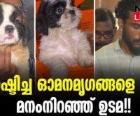 #thrissur #onlinenews #newsleader #malayalamnews #pets #petshop #keralapolice #steelingpets #persiancat #saintbarnard #shishtzu