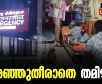 #thrissur #onlinenews #newsleader #malayalamnews #fake #illicitliquor #tamilnadu #kallakurichi #mkstalin #annamalai