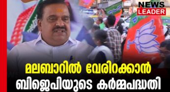 ചുമതല പികെ കൃഷ്ണദാസിന്