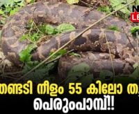 #thrissur #onlinenews #newsleader #malayalamnews #plantationcorporation #chalakkudy #athirappilly #athirappillywaterfalls