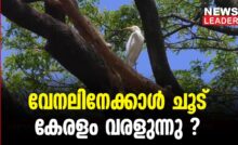 #thrissur #onlinenews #newsleader #malayalamnews #keralaclimate #hotweather #heat