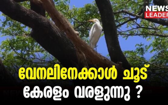 #thrissur #onlinenews #newsleader #malayalamnews #keralaclimate #hotweather #heat