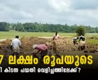 More than a thousand hectares of agricultural land News Leader