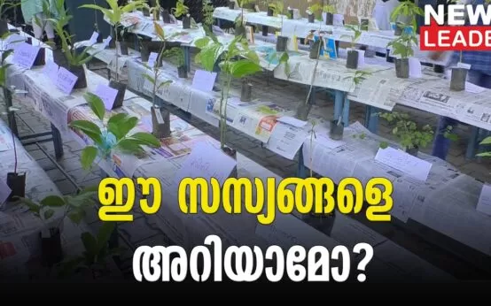 An exhibition introducing about 125 plants - News leader