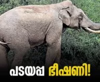 Two shops and a vehicle vandalized - Newsleader