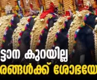 Thrissur, the land of Pooram with relief - Newsleader