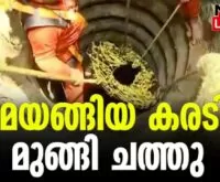 #bear #animalrescue #newsleader #thiruvananthapuram