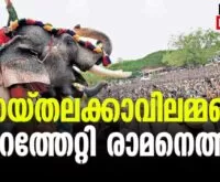 #thechikottukavu #thrissurpooram #newsleader #pooramvibes