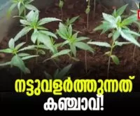 #ganja #korattypolice #newsleader #malayalamnews